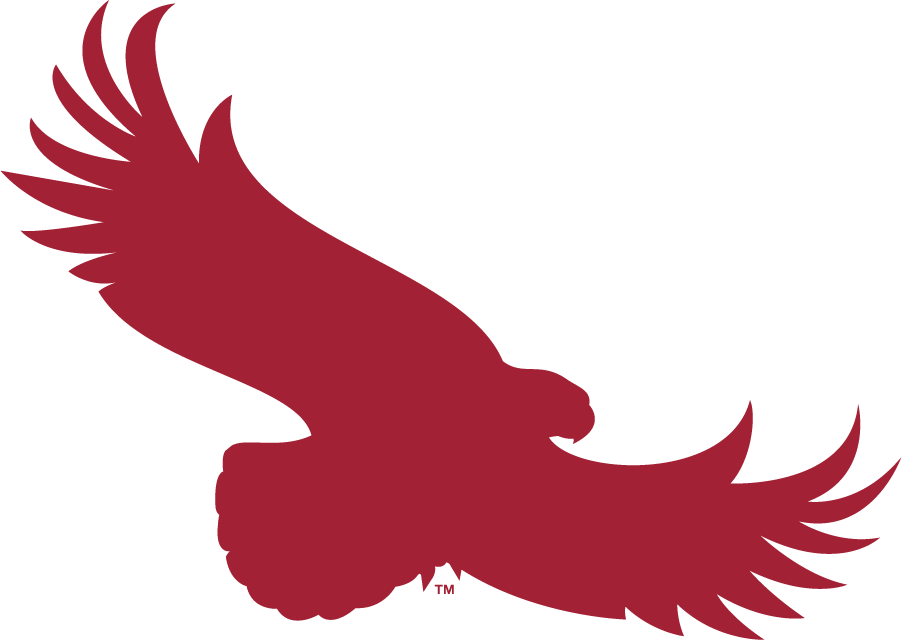 St. Joseph's Hawks 2018-Pres Alternate Logo diy iron on heat transfer
